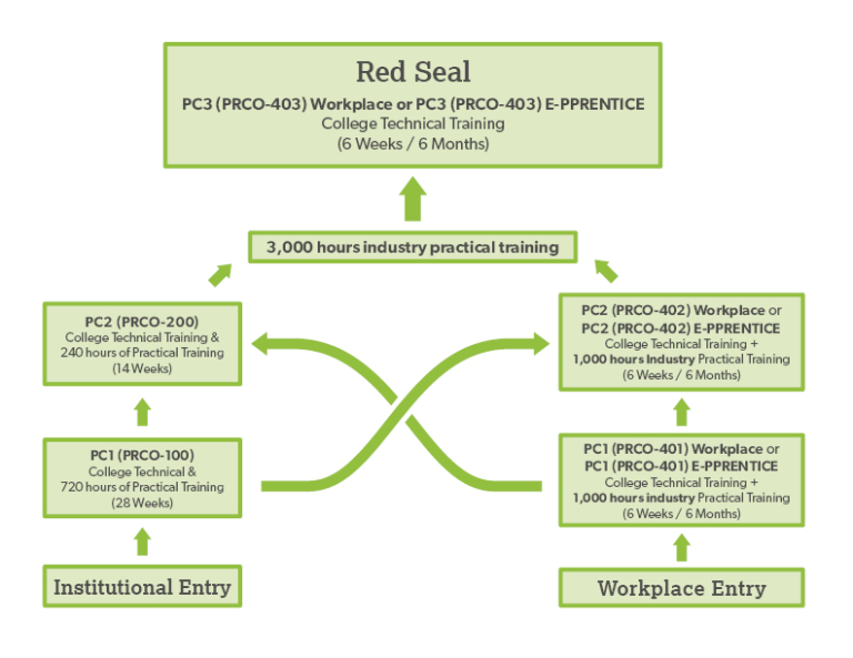 Professional Cook training pathways