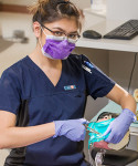 A Camosun Student working in the dental clinic