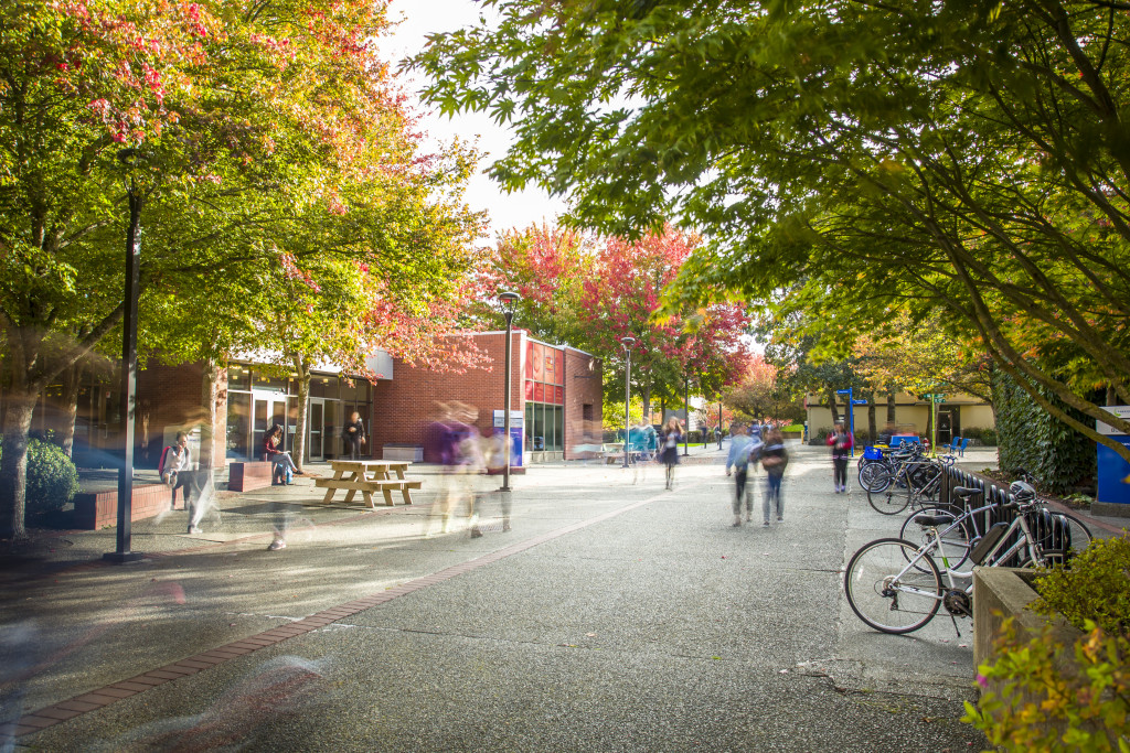 Solar power lights up learning at Camosun Library | Camosun College