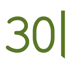 date-icon-30