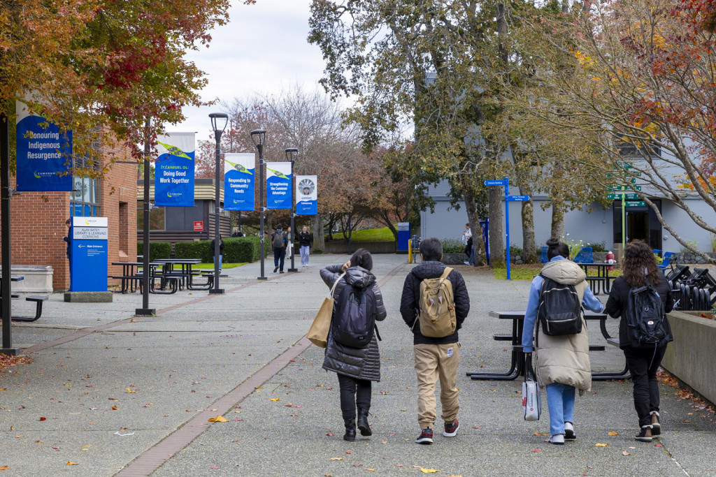 Four students walk through a college campus. The leaves of the trees are vided Fall colours.