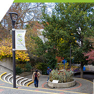 student walking up steps on Lansdowne campus in the fall with trees with changing colour leaves in background