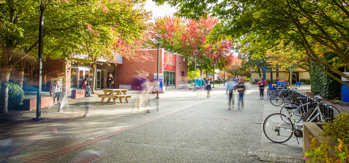 Accepted Students - International | Camosun College