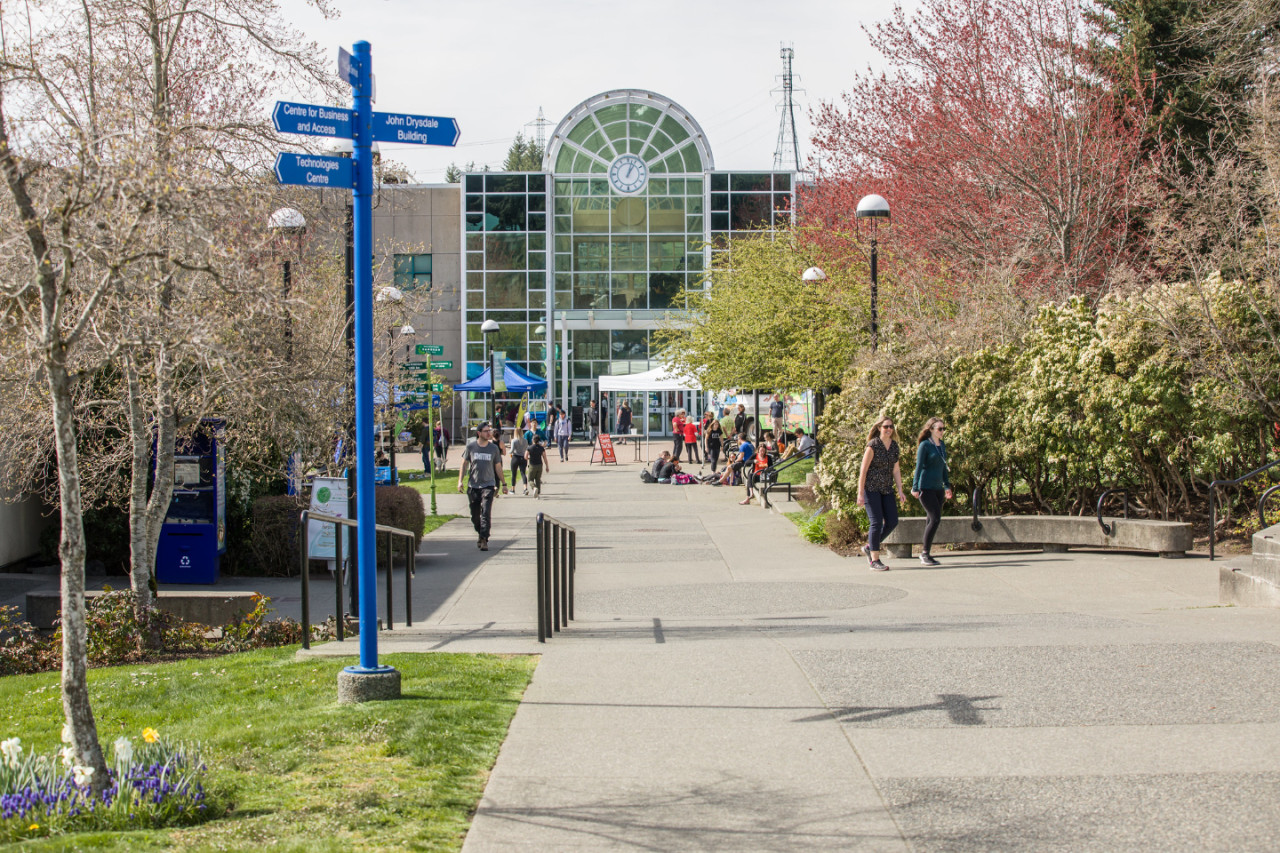 camosun college logo