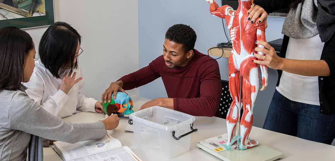 Four students examine an 3D human anatomy model 