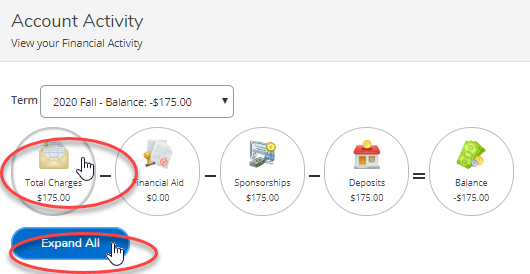 2. Click the individual icons to expand the details for that particular type of activity and scroll down to view; or click the 'Expand All' button to view all your activity.