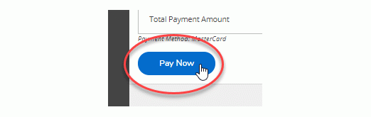 4.	Review the items you selected and click the 'Pay Now' button to be redirected to the PayPal screen.