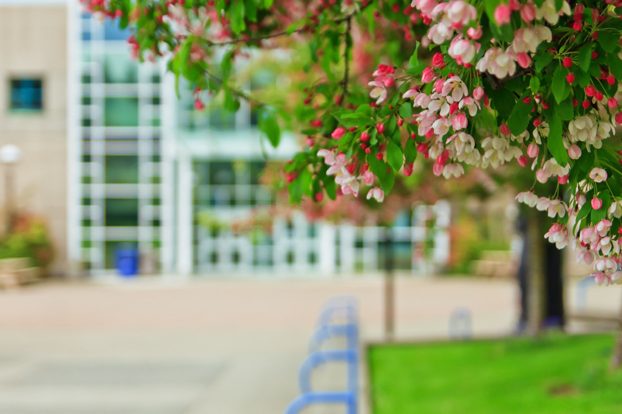 Liz Ashton Campus Centre Building