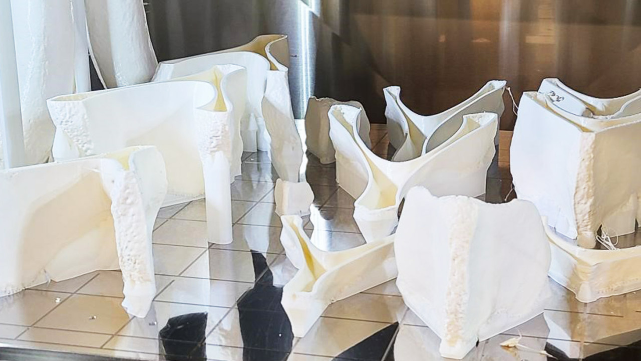 3D printed whale bones