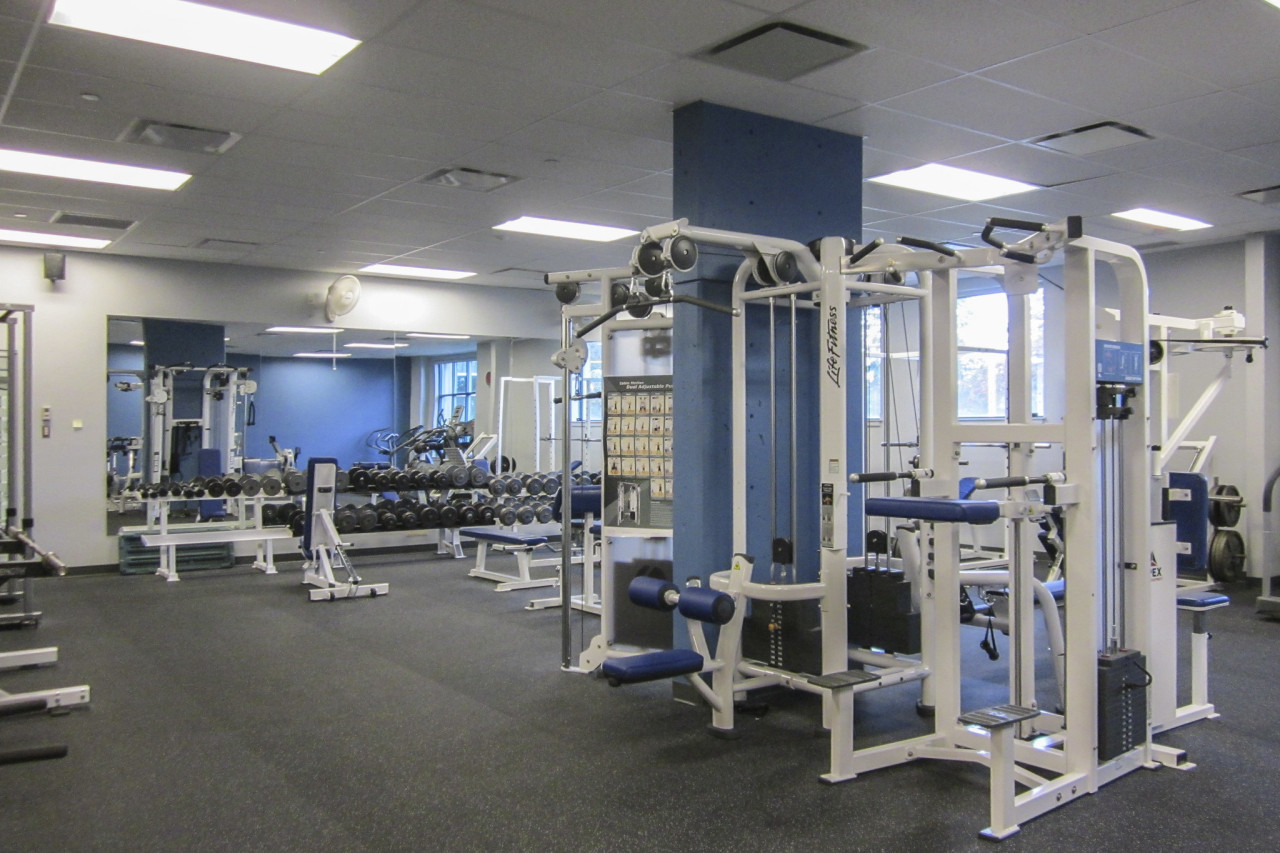 A picture of the gym facilities at the Lansdown fitness and recreation centre