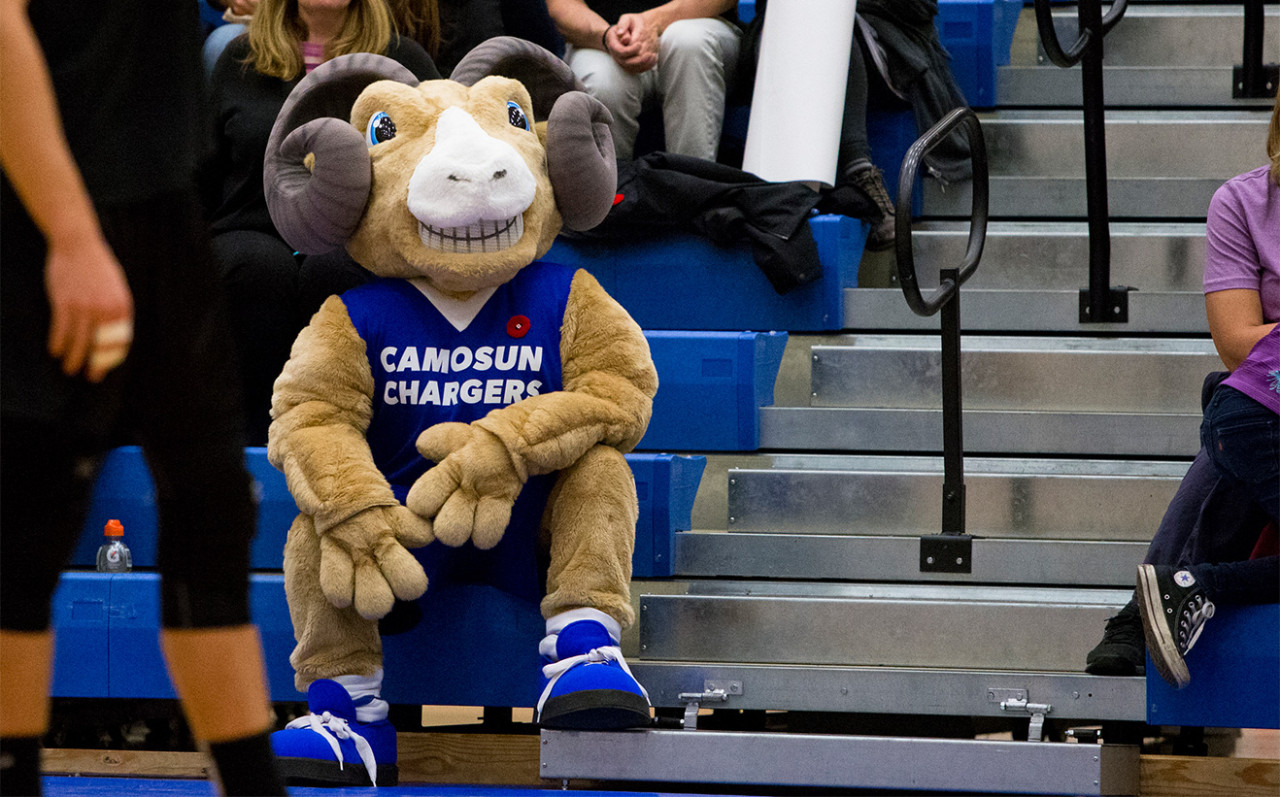 The Chargers mascot Ramsey, a giant mount ram,  in the Stands at a game