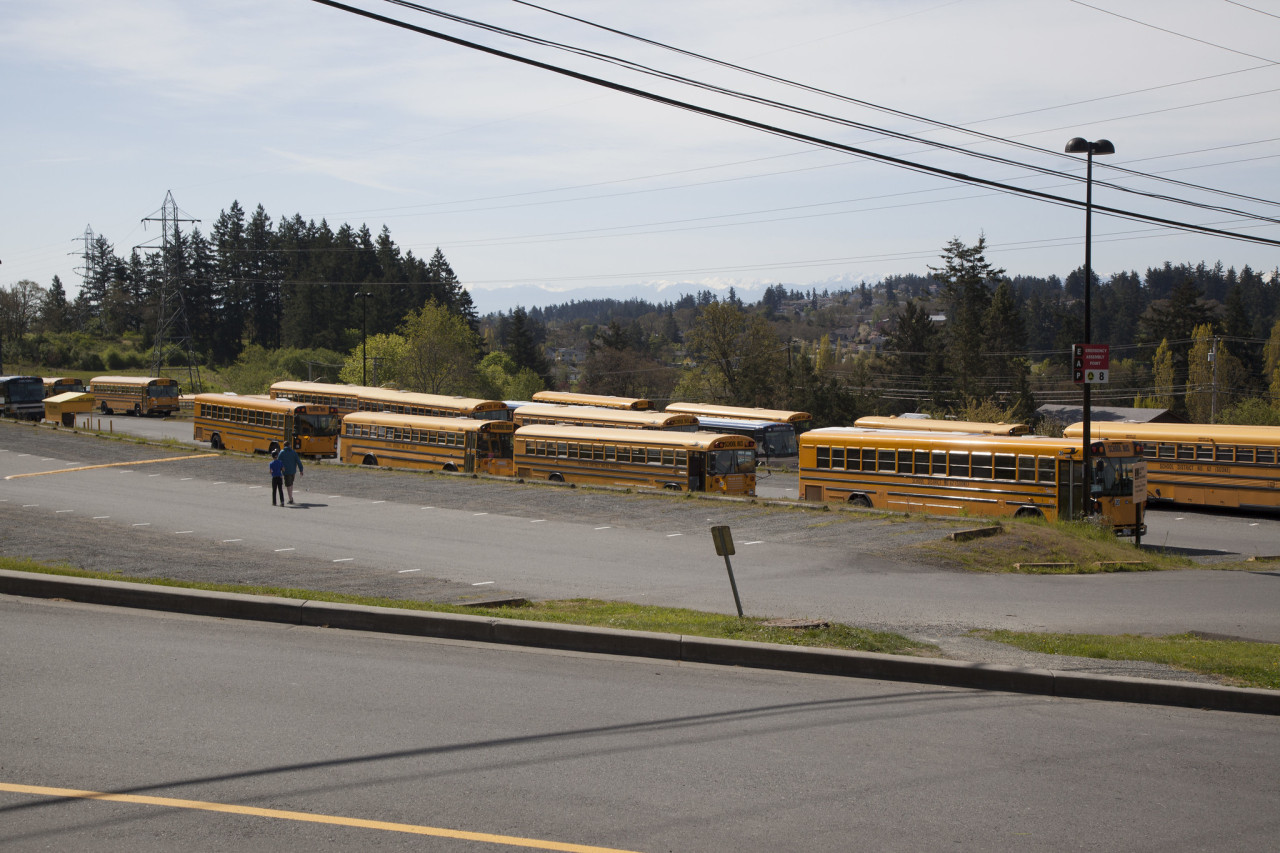 Parking lot with buses lined up
