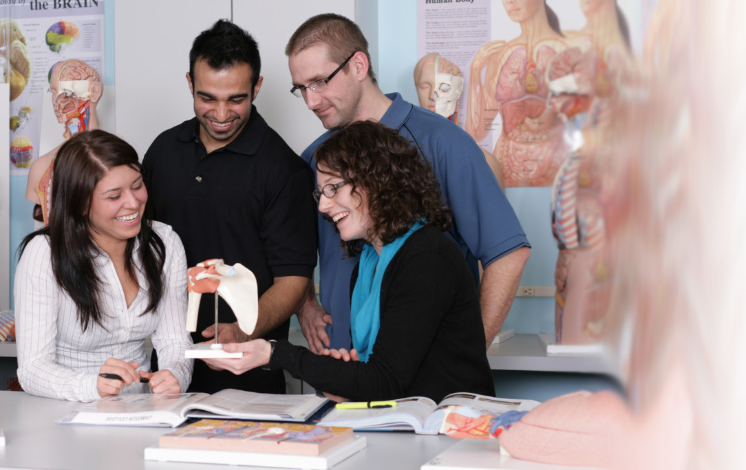 CSEE students looking at anatomy