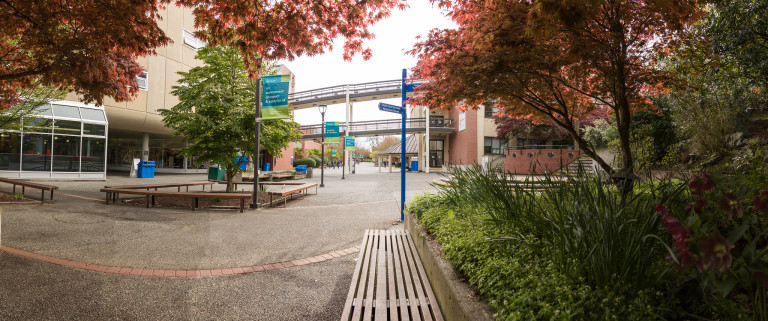 An outdoor wide angle photo of the Lansdowne campus main walkway. 