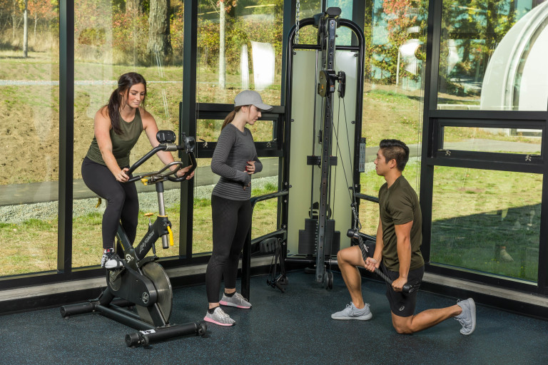 Three Kinesiology Students in the Clinic using fitness equipment