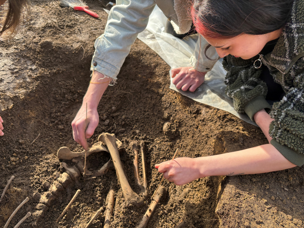 Students help excavate the bones of a bear