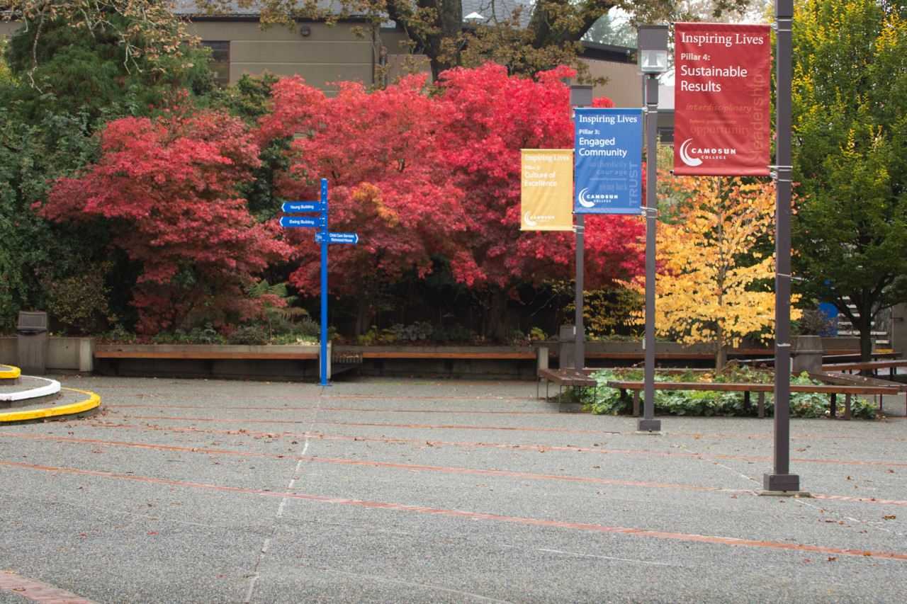 Autumn leaves on campus